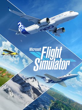 Flight Simulator cover