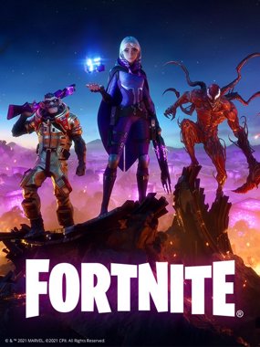 Fortnite cover